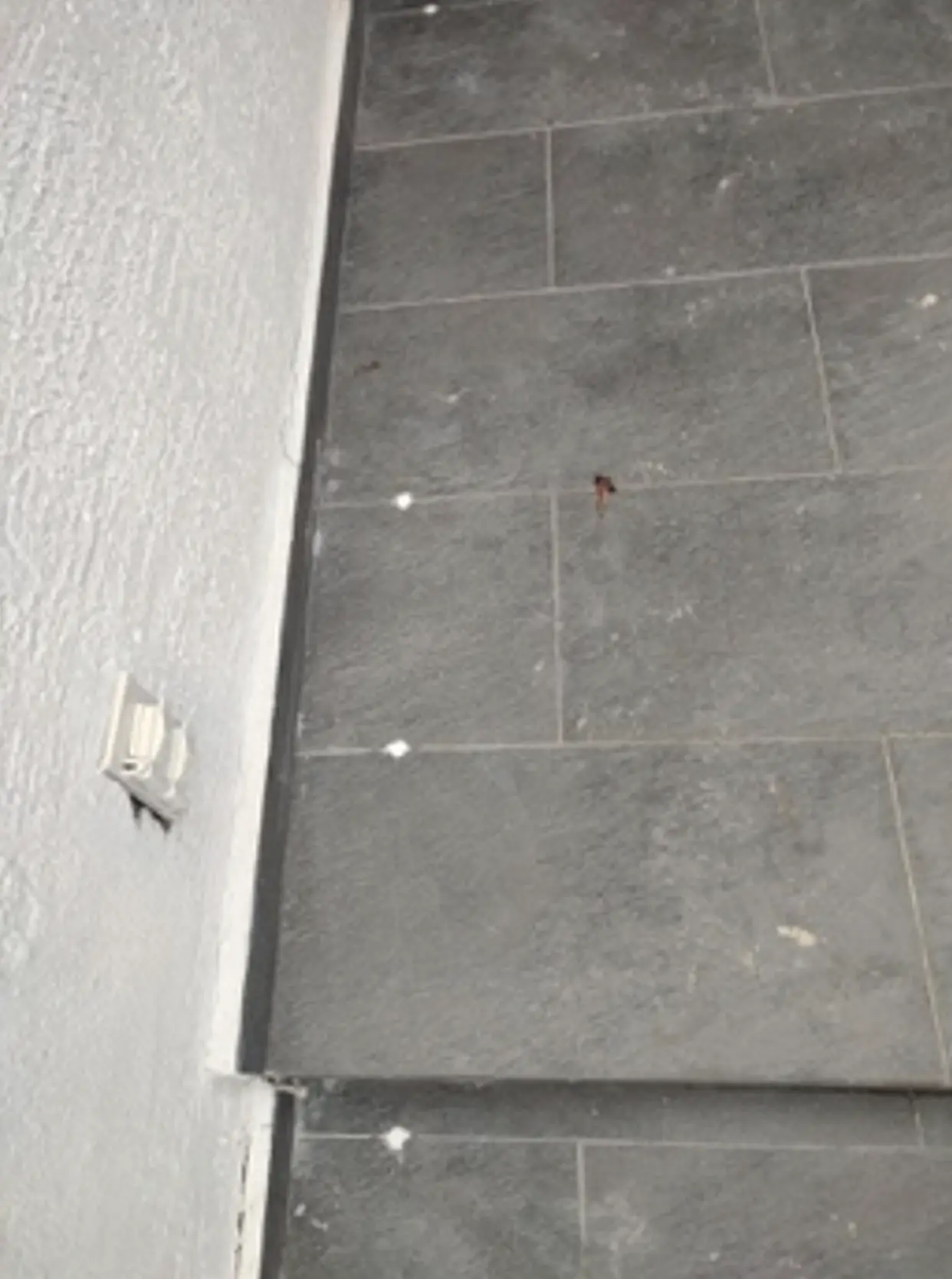 Piso después del sellado de las perforaciones del tratamiento