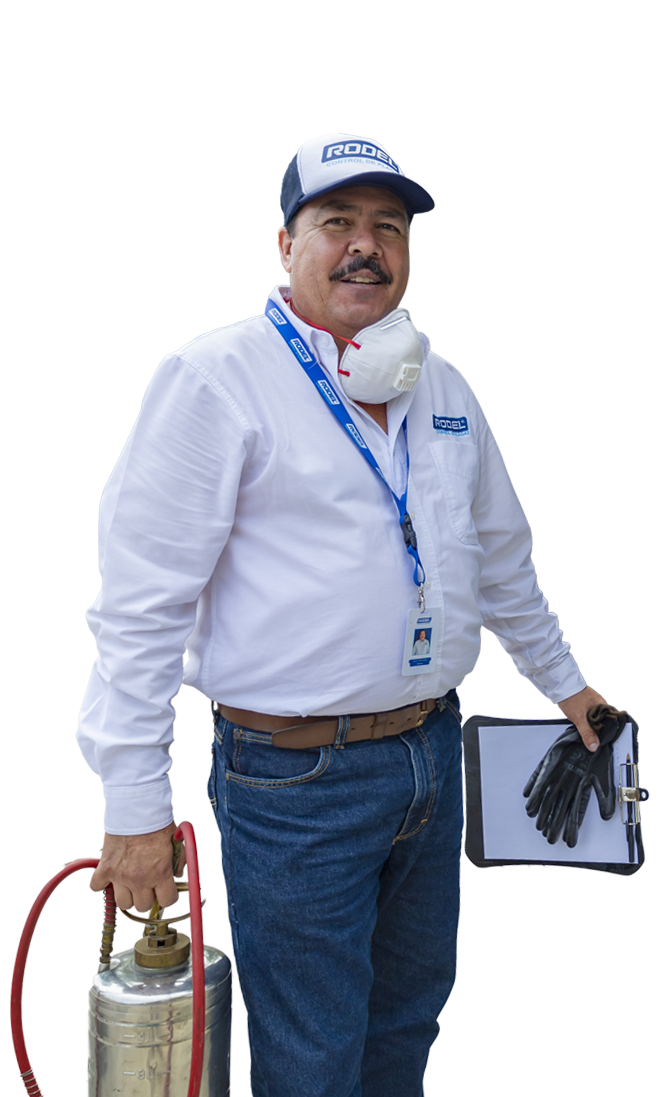 Rodel control de plagas :: Nosotros
